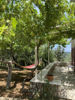Stone House In Katouna With Garden